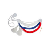 Demobilization Aiguillette "DMB" with Colorful Tassels