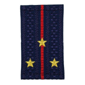 Police Senior Lieutenant New Style Faux Shoulder Boards