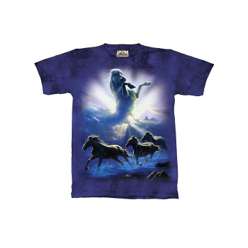 Wild Spirit Kids T-Shirt 15-1337 MOUNTAIN