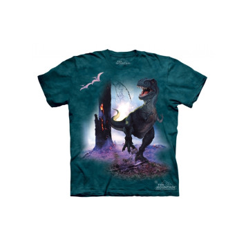 Kids& Graphic T-Shirt REX 15-1416 MOUNTAIN