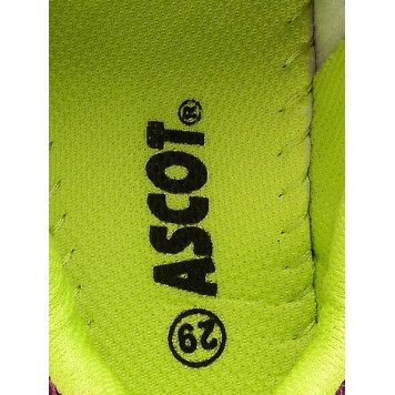 Кроссовки детские IGUANA SJ3081-02 i ASCOT-5