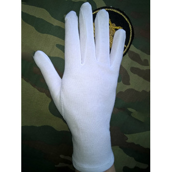 Parade Gloves C4