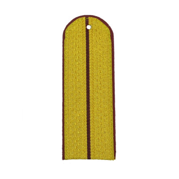FSIN Rank Insignia with 1 Stripe