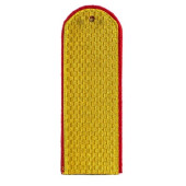 MVD Rank Insignia Clean