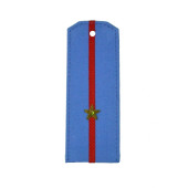 Junior Lieutenant MVD Shoulder Boards Brass for Shirt
