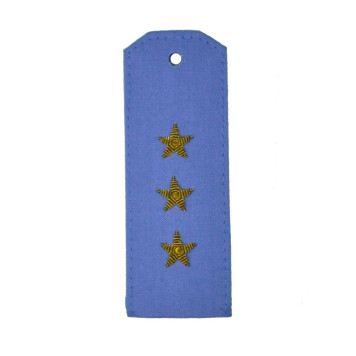 Senior Praporshchik MVD Shoulder Boards Brass for Shirt