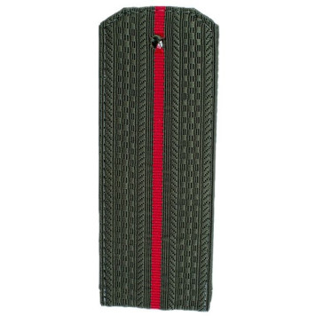 1-Promotion Plastic Shoulder Boards