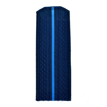 Air Force Rank Insignia 1 Blue Stripe Plastic-1