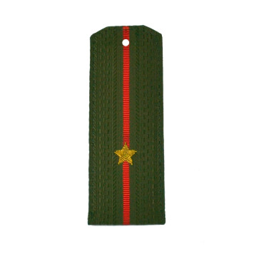 Embroidered Shoulder Boards Junior Lieutenant MO