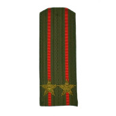 Embroidered Shoulder Boards for Lieutenant Colonel