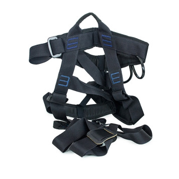 Climbing Safety System