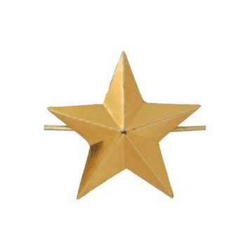 20mm Senior Officer Star Badge FM-153