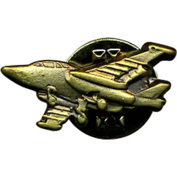 Miniature Metal Airplane Insignia