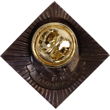 Miniature Suvorov Military Award Metal Badge-1