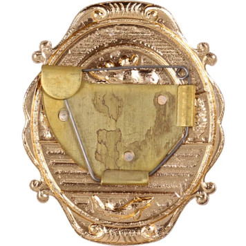 Large Hunting and Fishing Inspector Badge - Metal Public Inspector Emblem-1