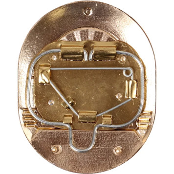 Large Police PPS Metal Badge-1