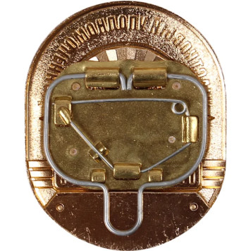 Large Police Badge for District Officers - Metal Emblem-1