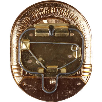 Large Police Auxiliary Security Metal Badge-1