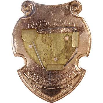 Large Rostekhnadzor Metal Chest Badge-1