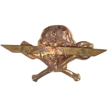 Metal Skull with Bombs Chest Badge-1