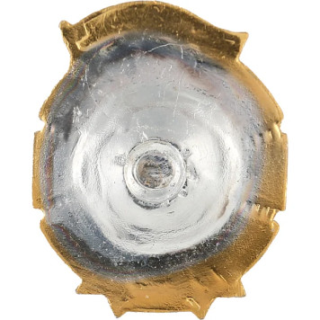 Guardian of Russia Metal Badge-1