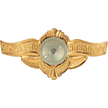 Private Rank Badge Class 2 Metal-1