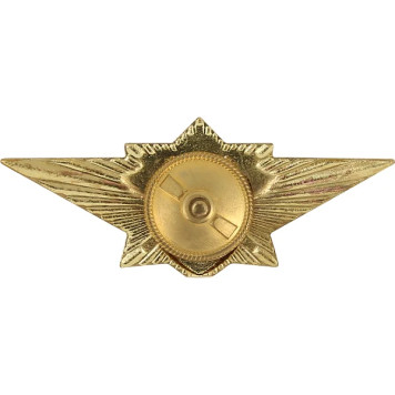 MChS Master Metal Badge-1