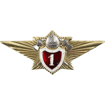 Specialist 1st Class Metal Badge for Emercom