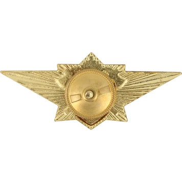 Specialist 2nd Class Metal Badge for Emercom-1