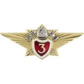 Specialist 3rd Class Metal Badge for Emercom