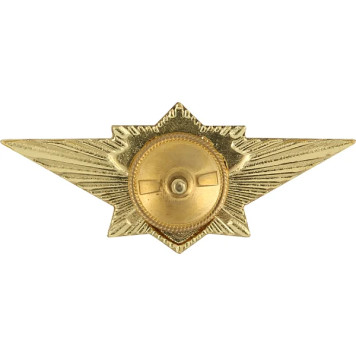 Specialist 3rd Class Metal Badge for Emercom-1