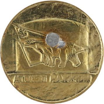 Marine Corps Metal Badge-1