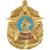 Academia Naval Nakhimov - Broche Metálico