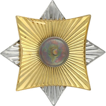 Police Badge Russia DPS Star Metal-1