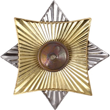 Paratrooper Mouse Star Metal Badge Russia VDV-1