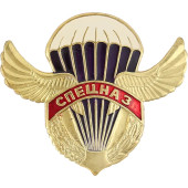 Special Forces Metal Badge