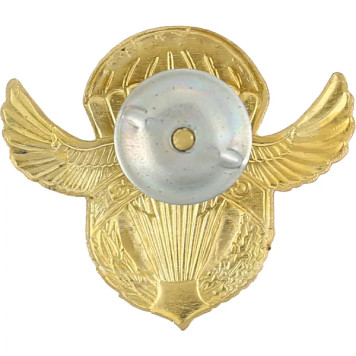 Special Forces Metal Badge-1