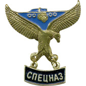 Special Forces Eagle Metal Badge with Pendant