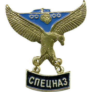 Special Forces Eagle Metal Badge with Pendant
