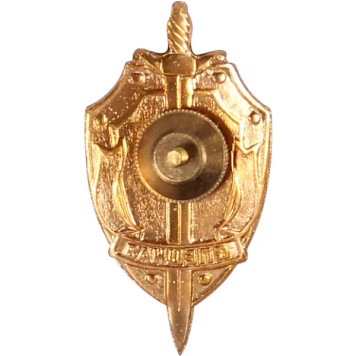 Special Forces Metal Badge with Shield, Sword, and Emblem-1