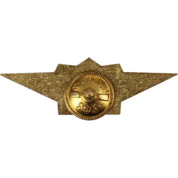 Mentor Metal Badge for Correctional System-1