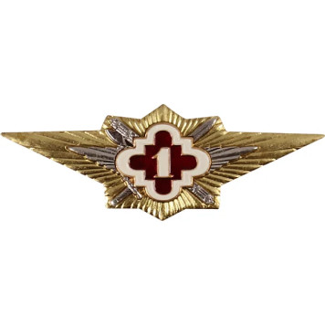 Specialist 1st Class Metal Badge for Correctional System