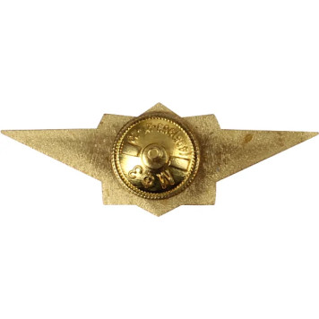 Specialist 1st Class Metal Badge for Correctional System-1