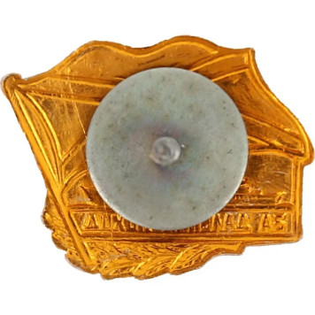 Chest Badge for Long Campaign Ship Lightweight Metal-1