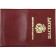 Assorted Leather Passport Covers