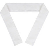 White Military Collar Insignia