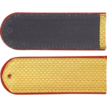 Parade Rank Insignia for MChS Private with Lurex-1