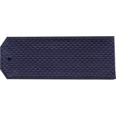 Air Force Rank Insignia for Private