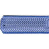 Air Force Enlisted Rank Insignia with Braid for Shirt