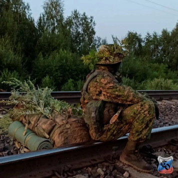 Partisan Panama Hat-33